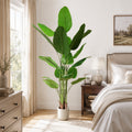 Lifelike Bird of Paradise Artificial Plant, Xramfy 6Ft Fake Tropical Palm Tree with Plastic Pot, Faux Plant Indoor Decor Trees, Silk Floor Plant for Home Decor in Living Room, Office, and Bedroom