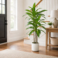 Dracaena Artificial Plant, Xramfy 4ft Artificial Trees Indoor with White Pot, Large Tropical Indoor Fake Tree with Lifelike Leaves, Real Touch Plant for Home Office Living Room Decor Outdoor